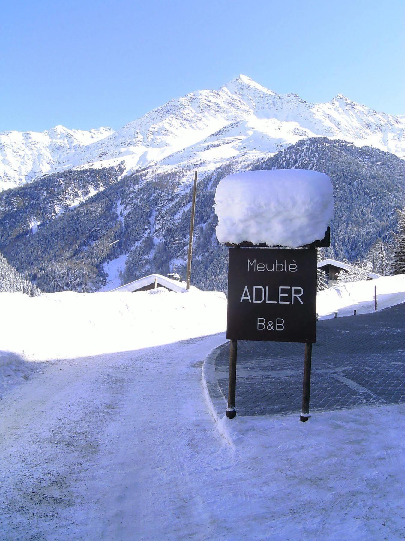 Hotel Meuble Adler - Rooms & Mountain Apartments Santa Caterina Valfurva Exterior photo